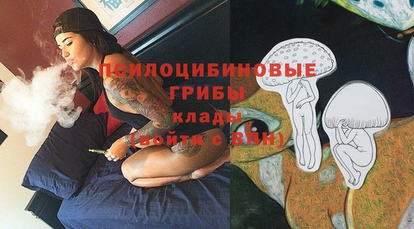 мдма Богданович